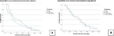 Outcome of transarterial radioembolization in patients with hepatocellular carcinoma as a first-line interventional therapy and after a previous transarterial chemoembolization